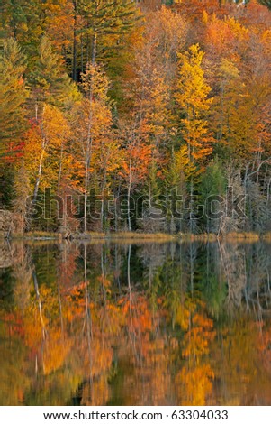 Autumn landscape of Scout Lake with reflections of trees in calm water, Michigan\'s Upper Peninsula, USA