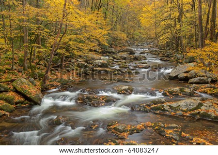 Autumn landscape of Big Creek framed by trees, Great Smoky Mountains National Park, Tennessee, USA