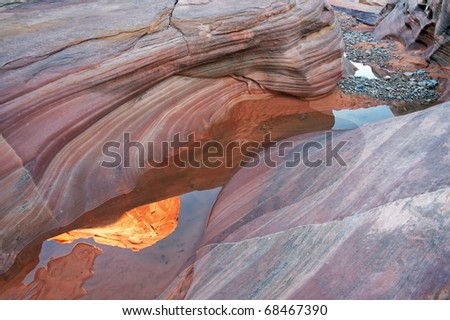 nevada pools