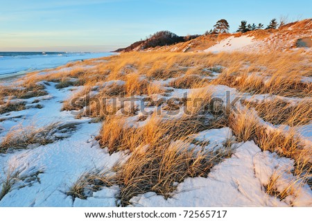 Winter landscape beach grasses and iced shoreline of Lake Michigan, Saugatuck Dunes State Park, Michigan, USA