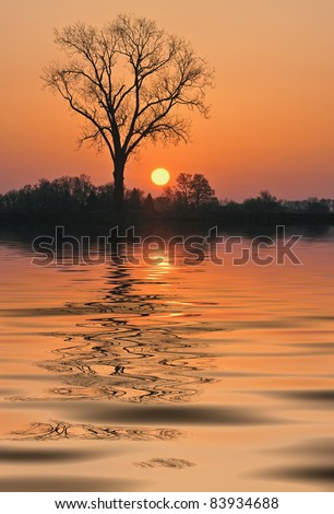 Landscape at sunrise of lake, silhouetted bare trees and reflections of colorful sky, Michigan, USA