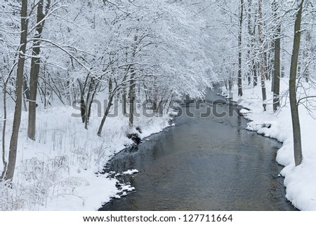 Winter creek framed by snow flocked trees, Michigan, USA