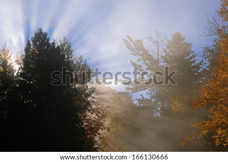 Sunbeams, fog, and autumn trees , Michigan\'s Upper Peninsula, USA