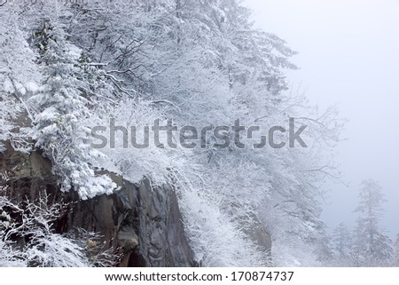 Winter landscape of snow flocked trees on rock ledge at Clingman\'s Dome, Great Smoky Mountains National Park, North Carolina, USA