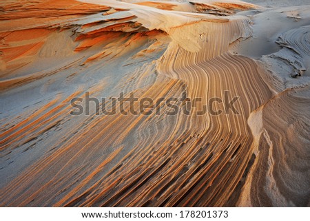 Abstract, rippled sand pattern, Silver Lake Sand Dunes, Silver Lake State Park, Michigan, USA