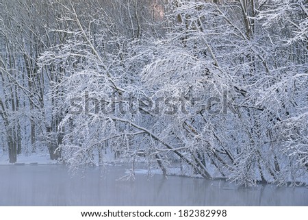 Landscape of snow flocked trees along the Kalamazoo River, Michigan, USA