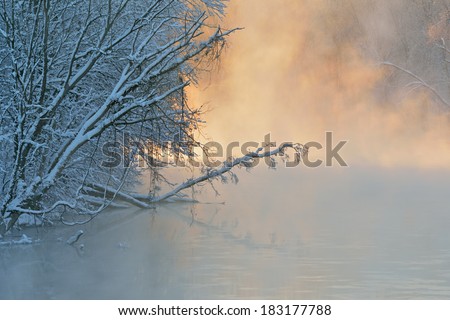 Landscape of snow flocked trees at sunrise along the foggy Kalamazoo River, Michigan, USA
