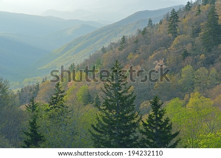 Spring landscape from the Oconaluftee Overlook of the Great Smoky Mountains in fog, Tennessee, USA