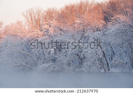 Landscape of snow flocked trees along the Kalamazoo River, Michigan, USA