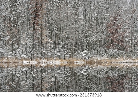 Snow flocked trees and reflections in Deep Lake, Yankee Springs State Park, Barry County, Michigan, USA
