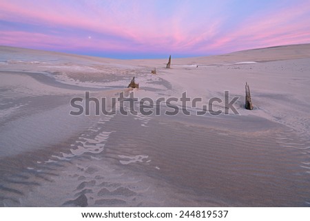 Winter landscape at dawn of Silver Lake Sand Dunes with moon, Silver Lake State Park, Michigan, USA