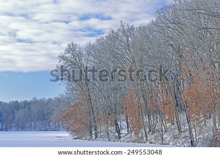 Winter landscape of the frosted shoreline of Eagle Lake, Fort Custer State Park, Michigan, USA