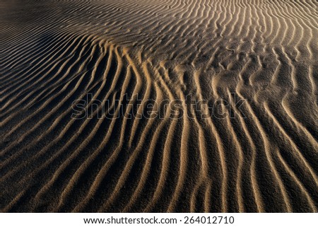 Sand pattern, Silver Lake Sand Dunes, Silver Lake State Park, Michigan, USA