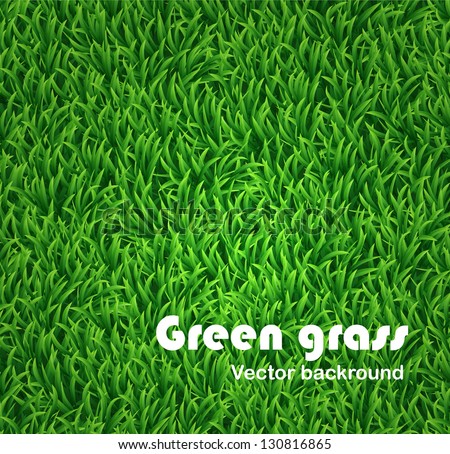 Green Grass Background. Vector Texture