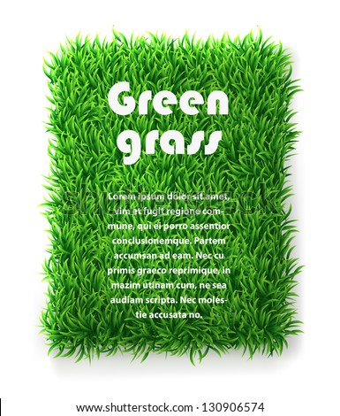 Rectangle Green Grass Banner. Vector Background