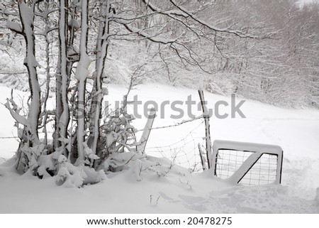 Snowy portal, taken in Plan d\'Hotonnes, Ain, France