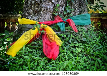Three fabric color wrap the old tree, the belief in thailand