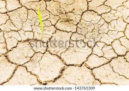 drought field, drought land