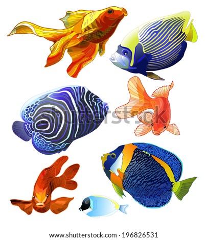 Set of exotic colorful fish Abstract isolated fish on white background Vector illustration Set of exotic colorful fish Abstract isolated fish on white background Vector illustration