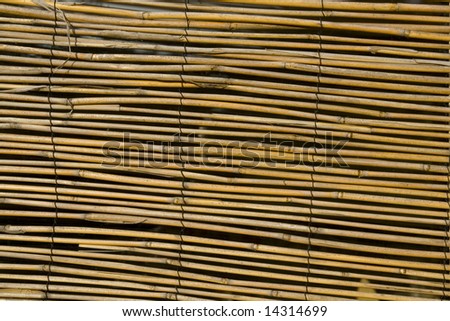 Bamboo screen