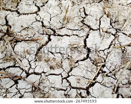 Arid land with dry and cracked ground, Global warming effect.