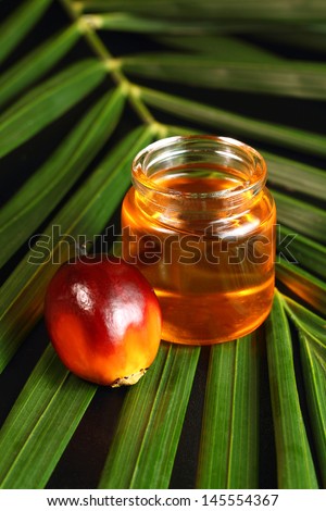 Oil palm fruits and oil bottle on a leaves background