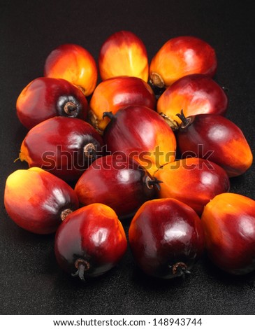 A batch of oil palm fruits on black simple background