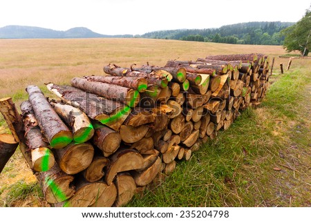 Wooden logs on the brink of the forest prepared for transport.