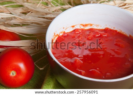 Tomato puree in a  white bowl
