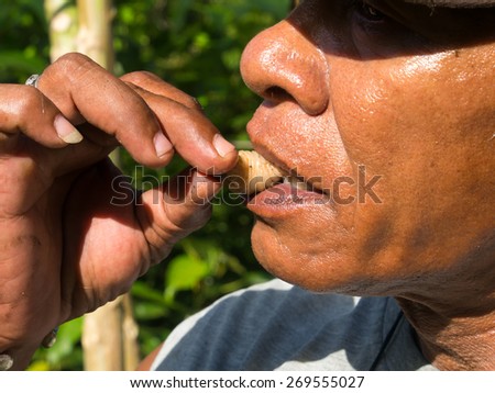 The jungle, Indonesia - January 14, 2015: A local eating a white  larva. This is a great treat there