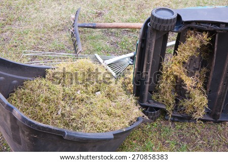 Spring gardening. Raking of dry grass using a special gardening device