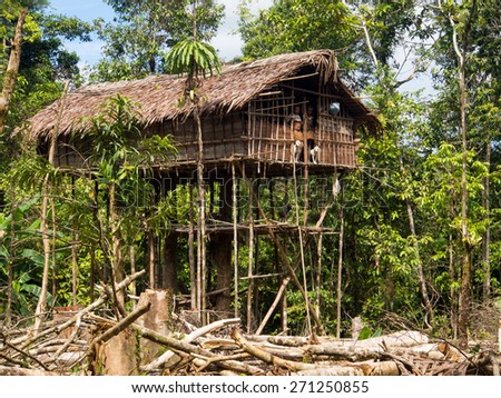 The jungle, Indonesia - January 16, 2015: Houses on the trees. That way Korowaya tribe builds houses in Papua