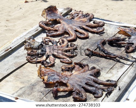 Dried in the sun,  warm waters octopus