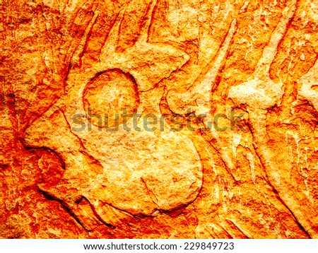 abstract fish fossils
