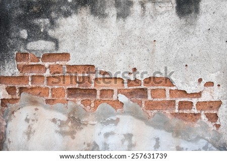 Texture of cracked concrete showing brick wall inside