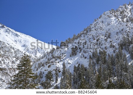Winter in an alpine valley in Sierra Nevada mountains near Bishop, California