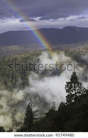 Rainbow over mountain forest in Yosemite National Park, California