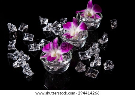 Orchid flowers in a cup for the spa.