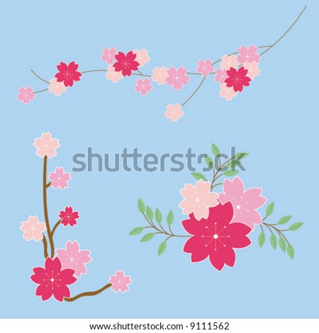 cherry blossom. stock vector : Cherry Blossom