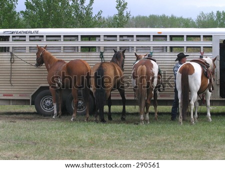 horses and trailer