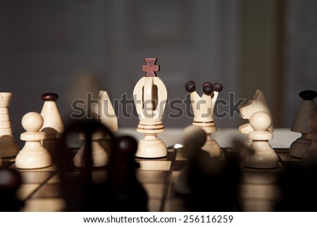the chess pieces on a table in the park