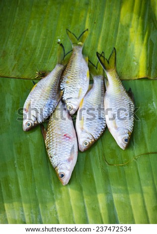 Fish on banana leaf prepare for sale at market