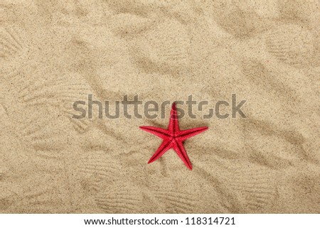 Red Starfish on beach sand pattern. Focused on starfish