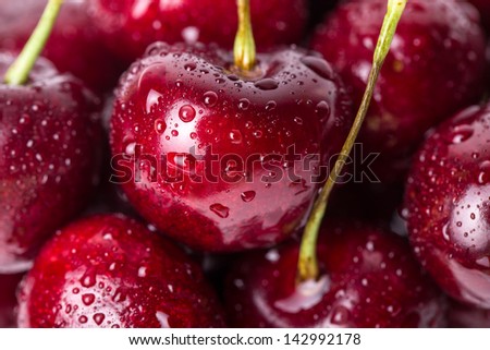 Close up of fresh cherry berries with water drops.