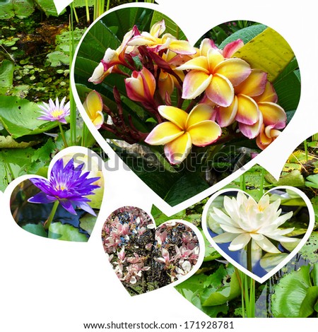 Tropical flowers in hearts - green nature collage on white background