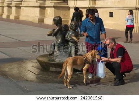 ZARAGOZA, SPAIN, NOVEMBER 1, 2014: People let their dog drink on the plaza del pilar square in spanish zaragoza.