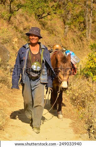 QIAOTOU, CHINA, NOVEMBER 20, 2013: old chinese man is walking his donkey on tiger leaping gorge in china.