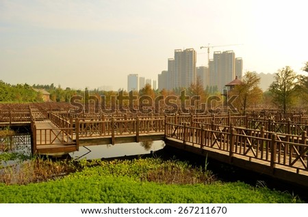 view of the wooden bridge structure situated inside of the wuyuanwan wetland wetland park in chinese city xiamen.
