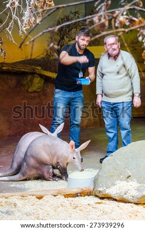 PRAGUE, CZECH REPUBLIC, JANUARY 30, 2015: pair of keepers is feeding an aardvark in the prague zoo.