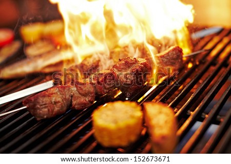 Shashlik being cooked on the grill with an open fire